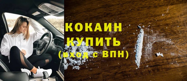 ешки Протвино