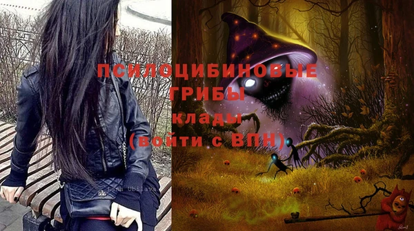 дмт Приозерск