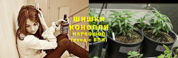 винт Ростов
