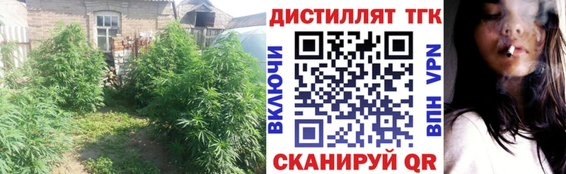 где купить наркоту  Арамиль  ТГК THC oil 