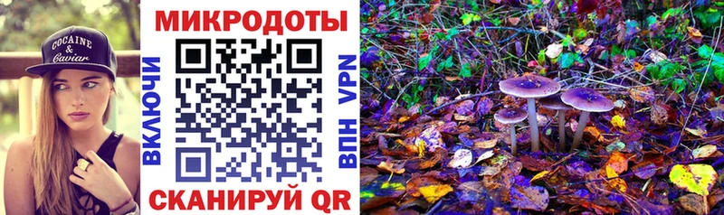 сайты даркнета наркотические препараты  Арамиль  Псилоцибиновые грибы Psilocybine cubensis  где купить  